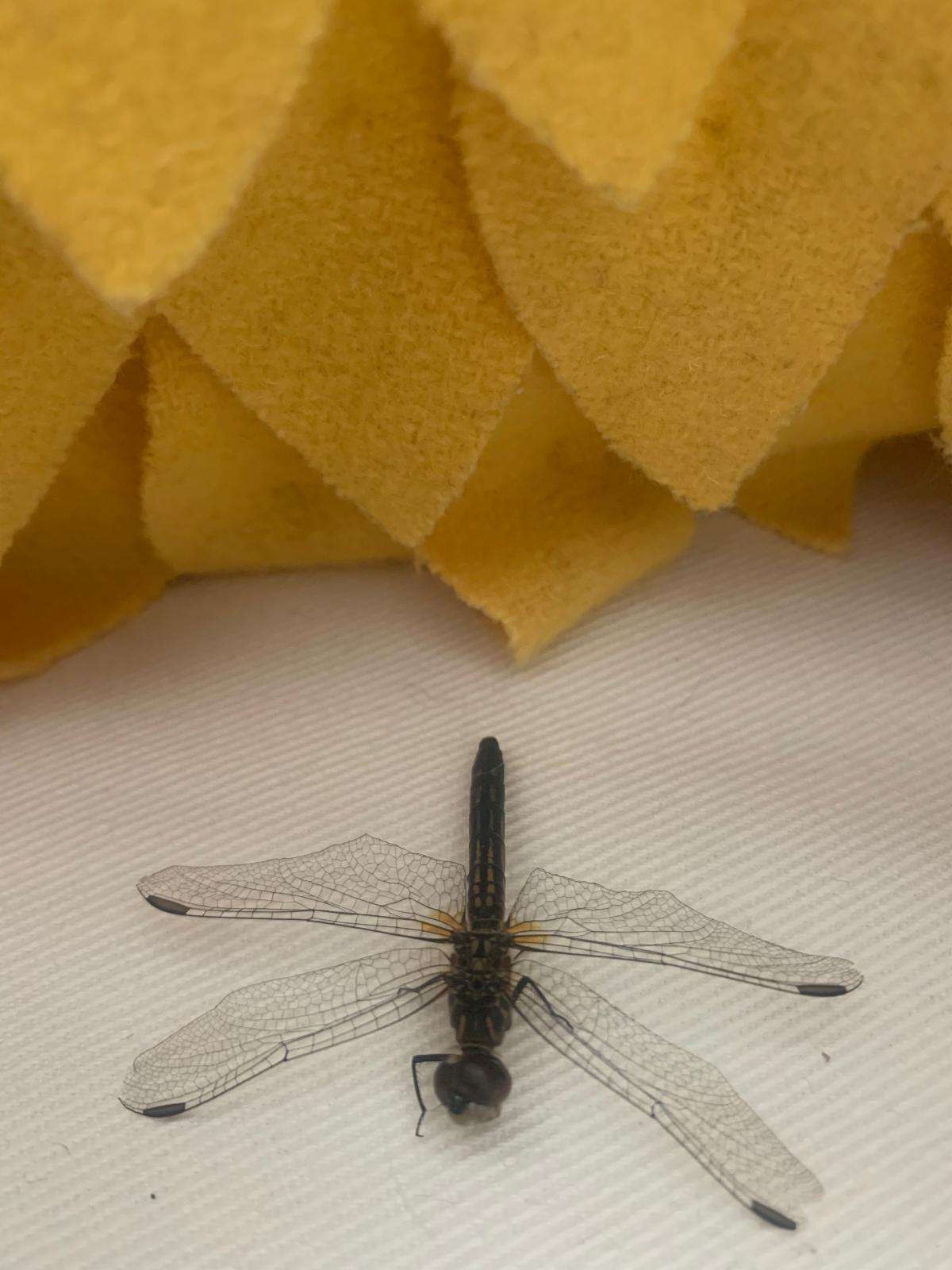 I  asked for magic and miracles. And holy moly!!!